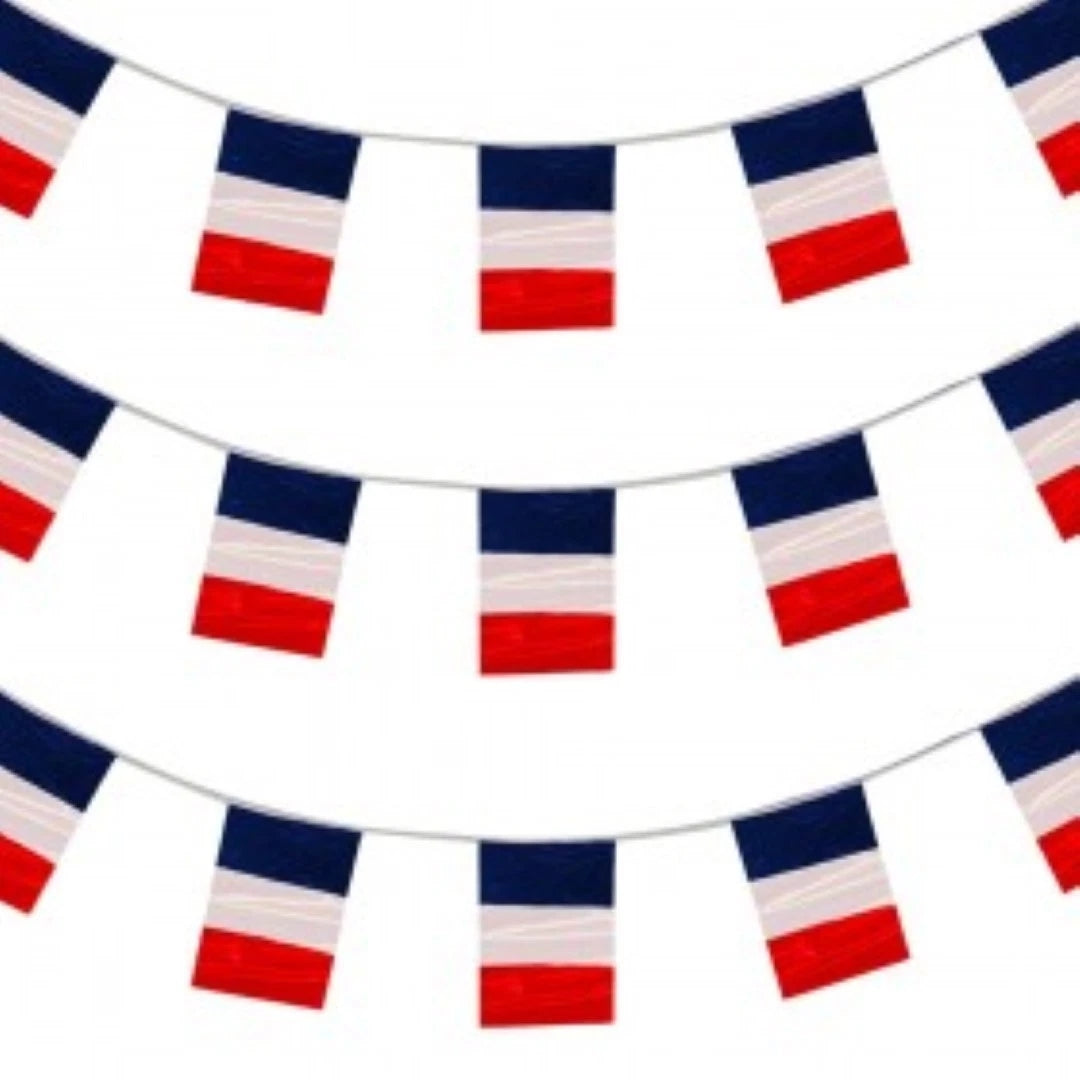 French France World Cup Nylon Flags Bunting 24FT Pub Party Decoration