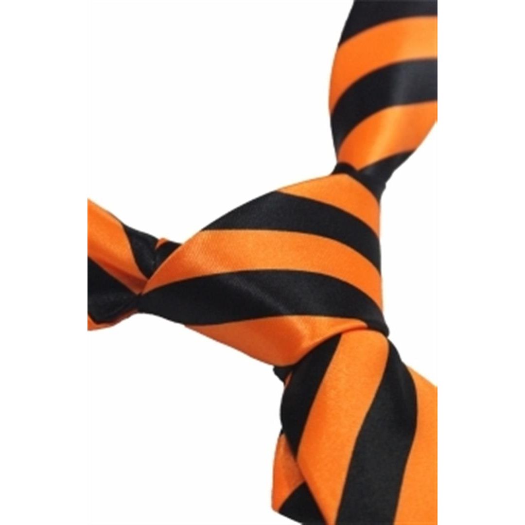 Men's Sports Presentation Striped Neck Ties