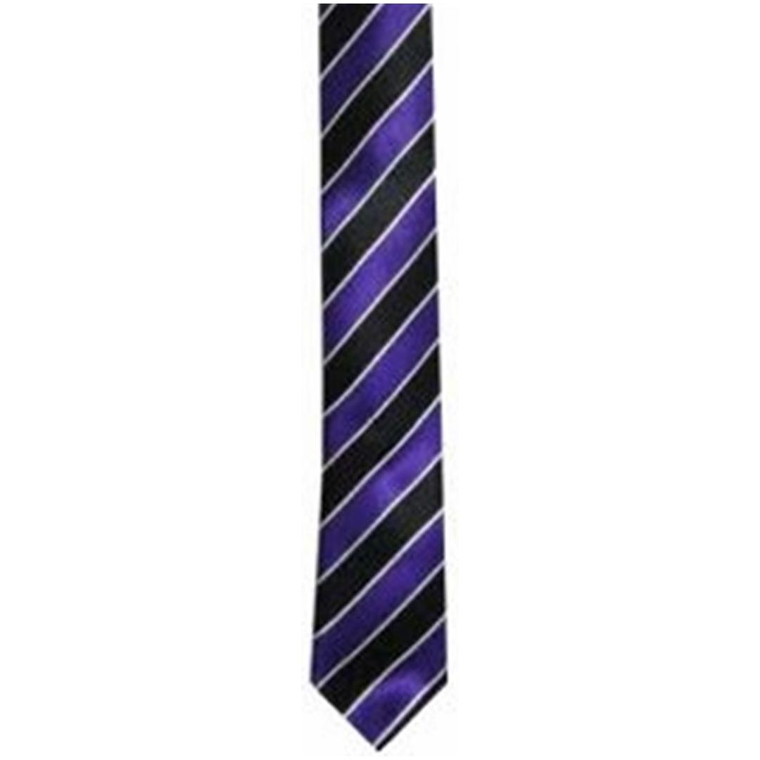 Men's Sports Presentation Striped Neck Ties