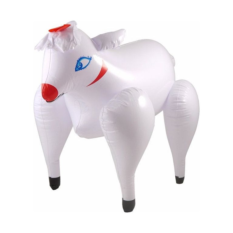 Inflatable Blow Up Animal Bird Pet