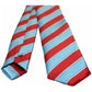 Men's Sports Presentation Striped Neck Ties