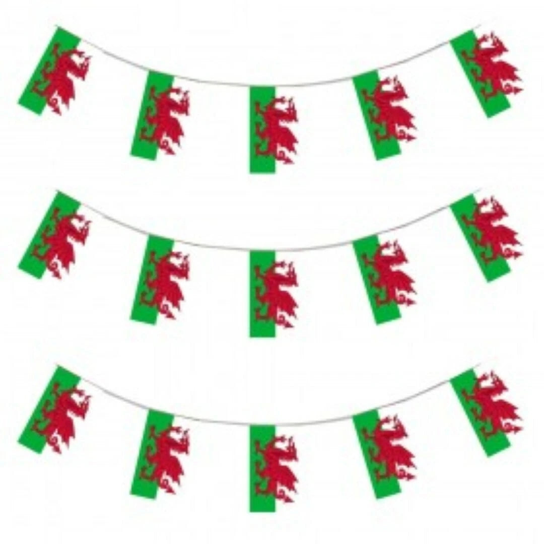 Wales Welsh World Cup Nylon Flags Bunting 24FT Pub Party Decoration