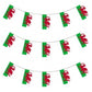 World Cup Euros Football National Bunting England Scotland Germany Spain - Manchester Fancy Dress